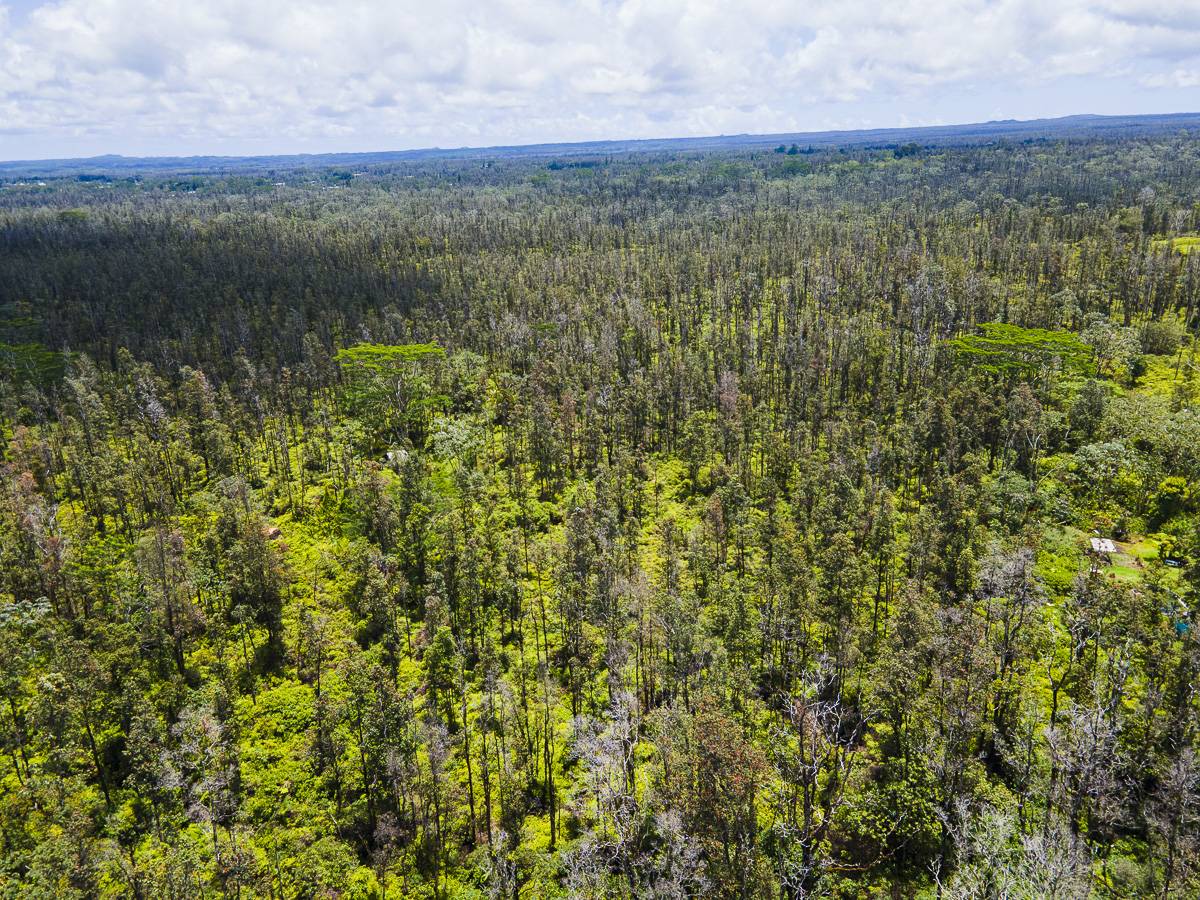 Keaau, HI 96749,AULII ST