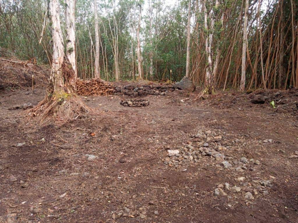 Pahoa, HI 96778,MOLOKAI ST
