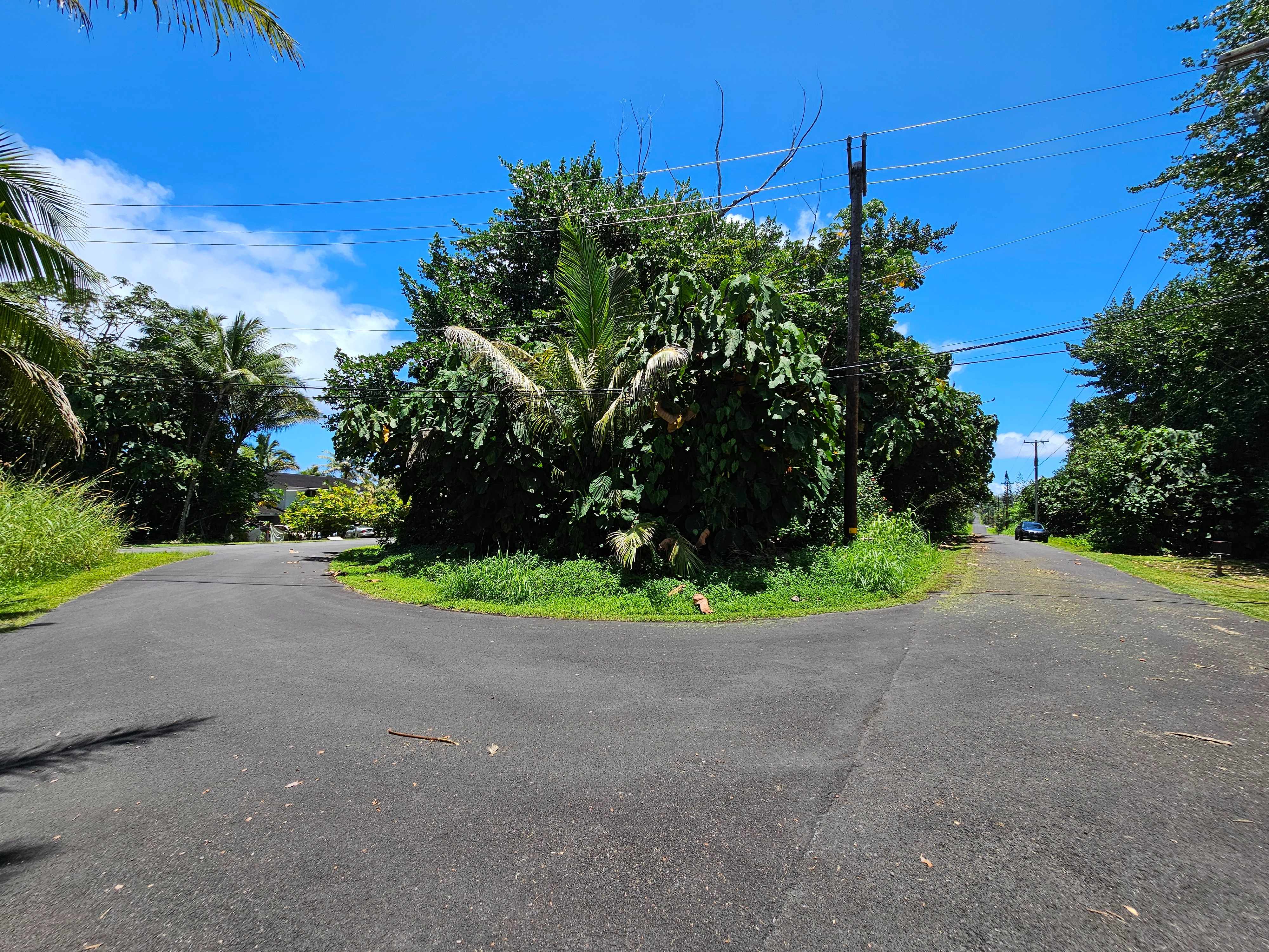Pahoa, HI 96778,PAPAI ST