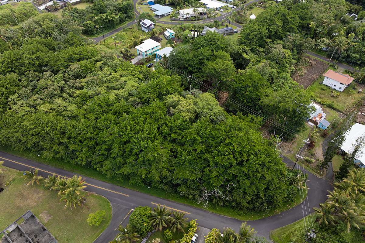 Pahoa, HI 96778,PAPAI ST