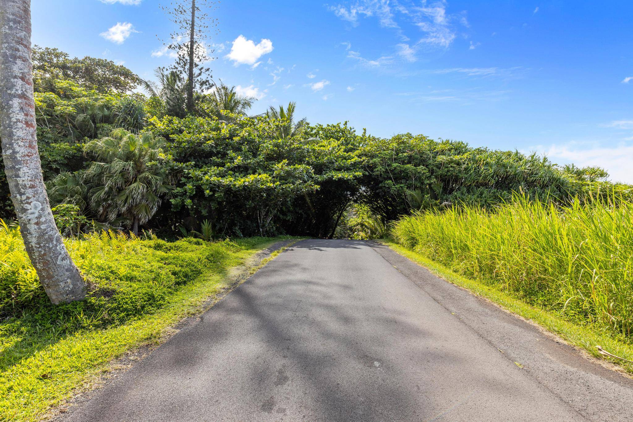 Pahoa, HI 96778,GOVERNMENT BEACH RD #LOT 81