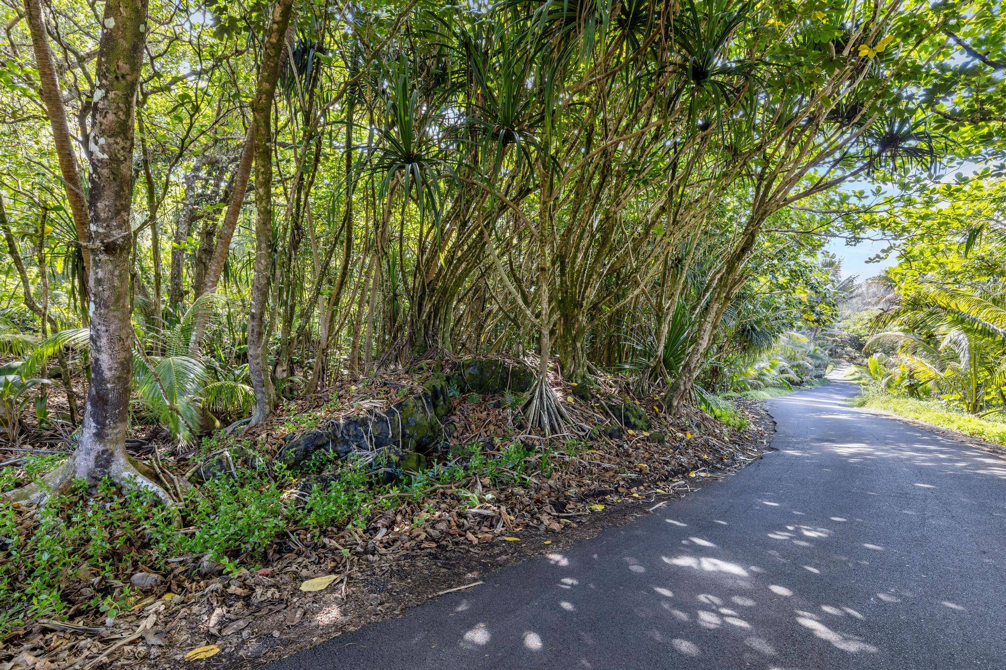Pahoa, HI 96778,GOVERNMENT BEACH RD #LOT 81