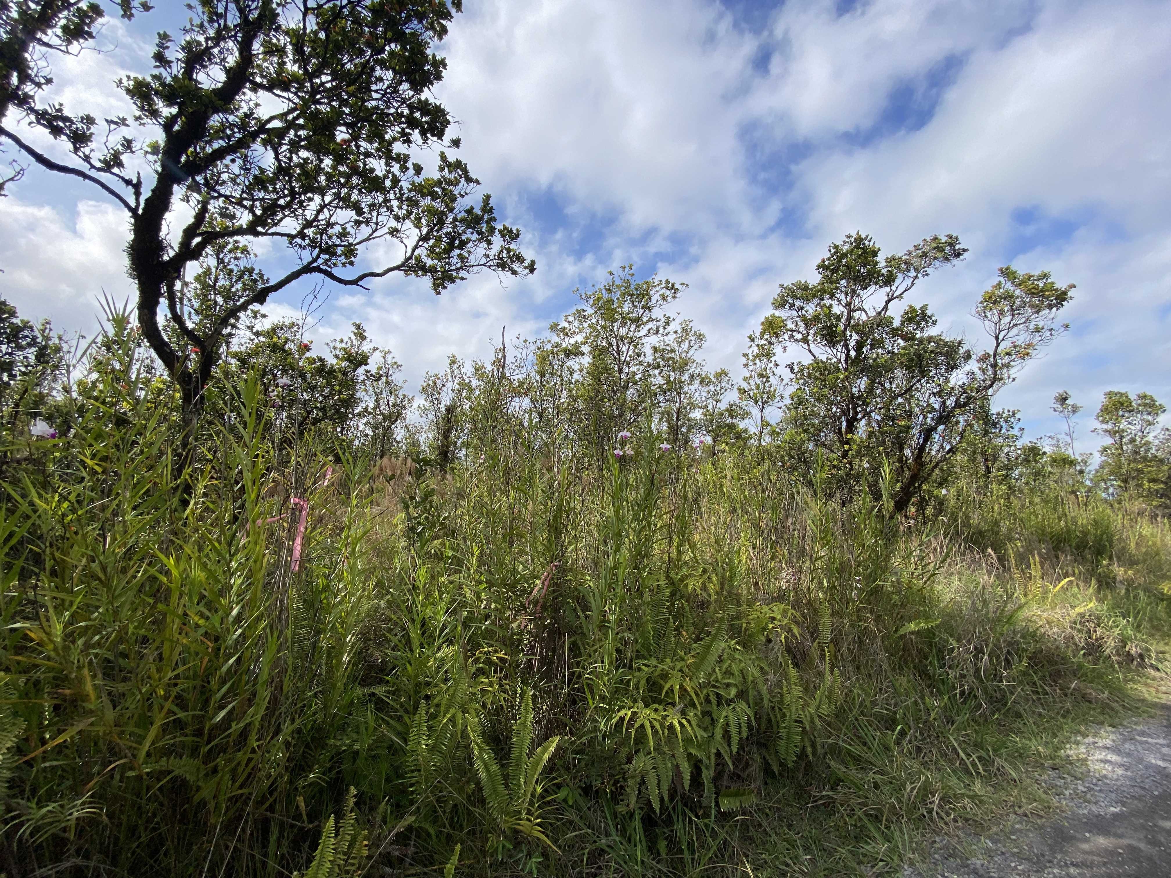 Volcano, HI 96785,KALEPONI DR
