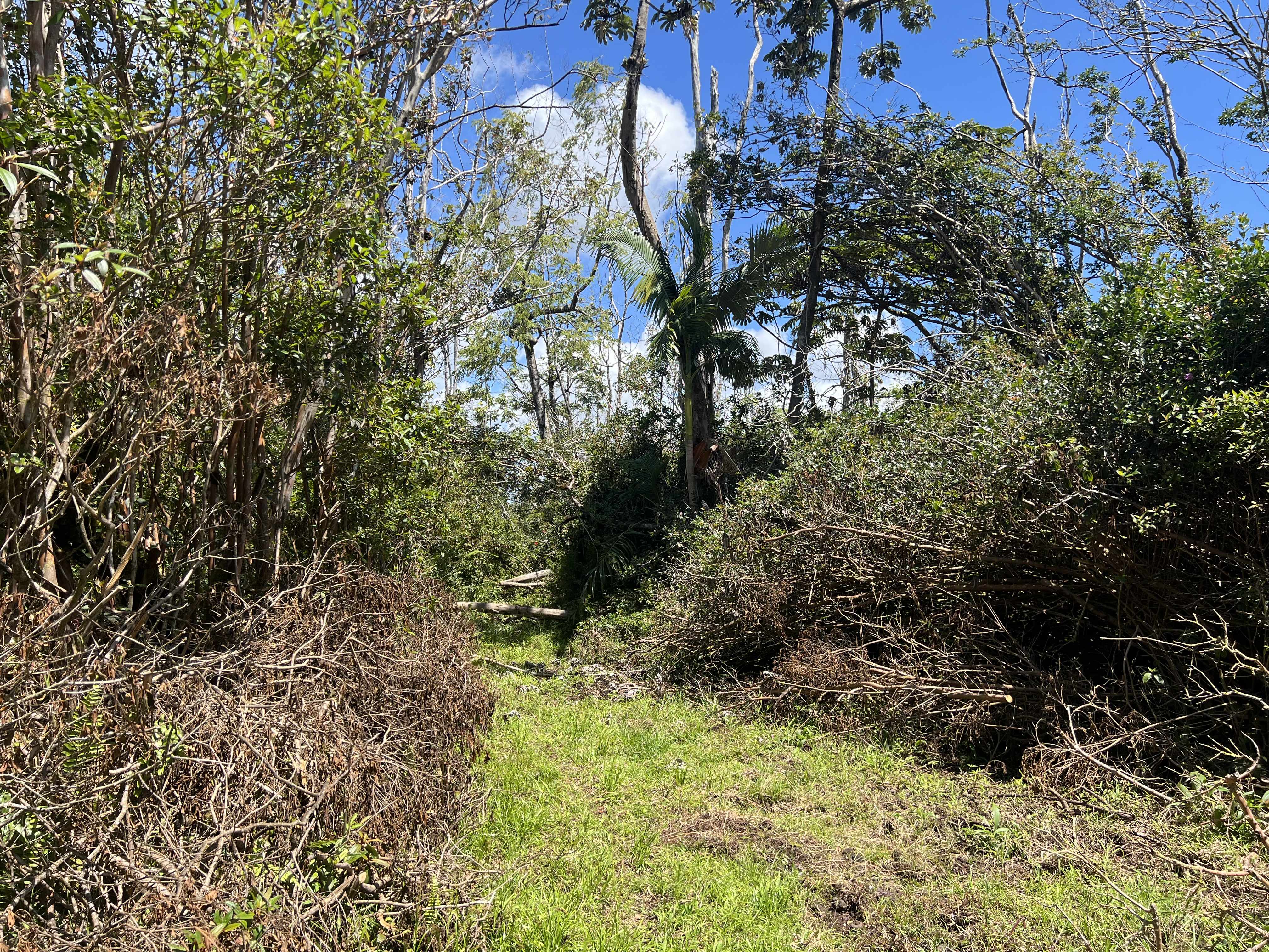 Pahoa, HI 96778,SOUTH RD