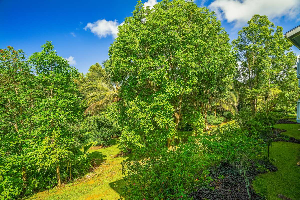 Princeville, HI 96722,3811 EDWARD RD #1206