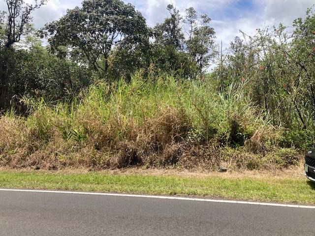 Kurtistown, HI 96760,MOHO RD