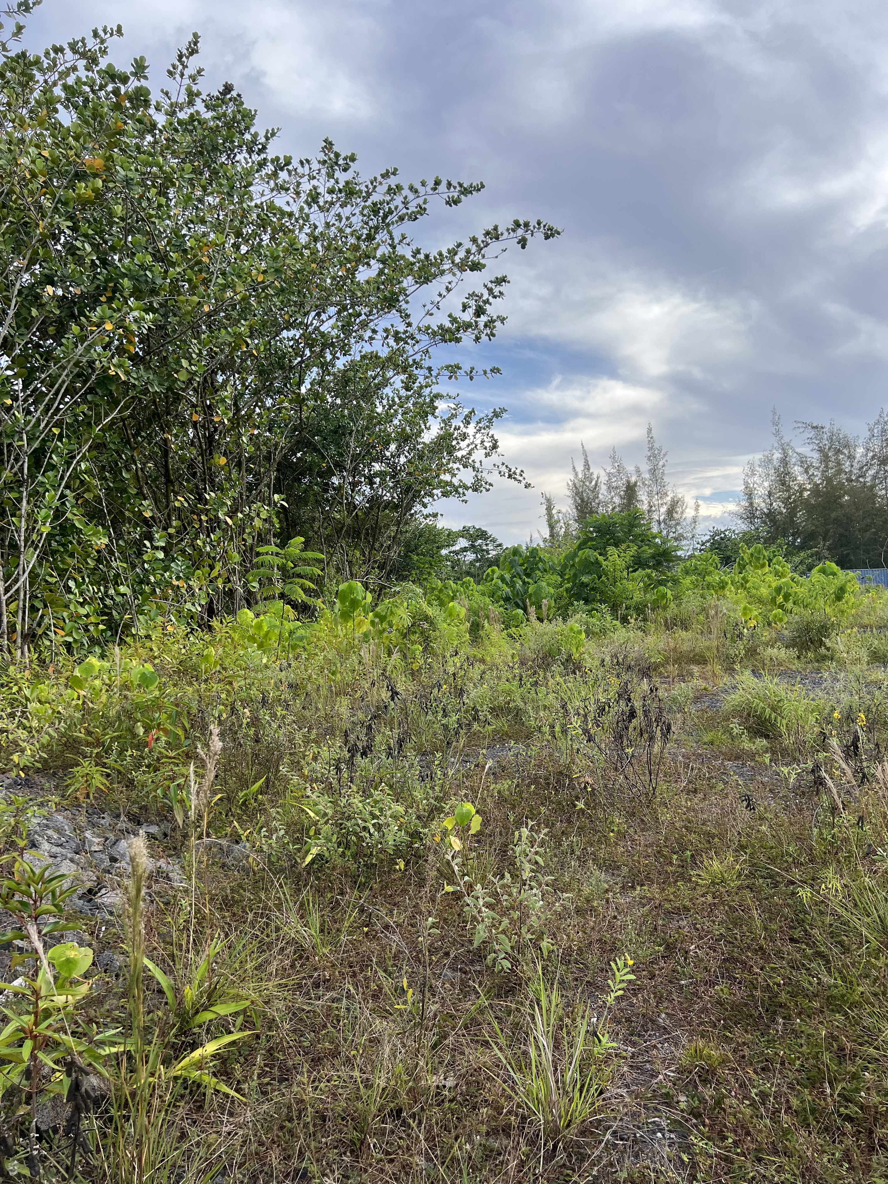 Keaau, HI 96749,15-1702 1ST AVE