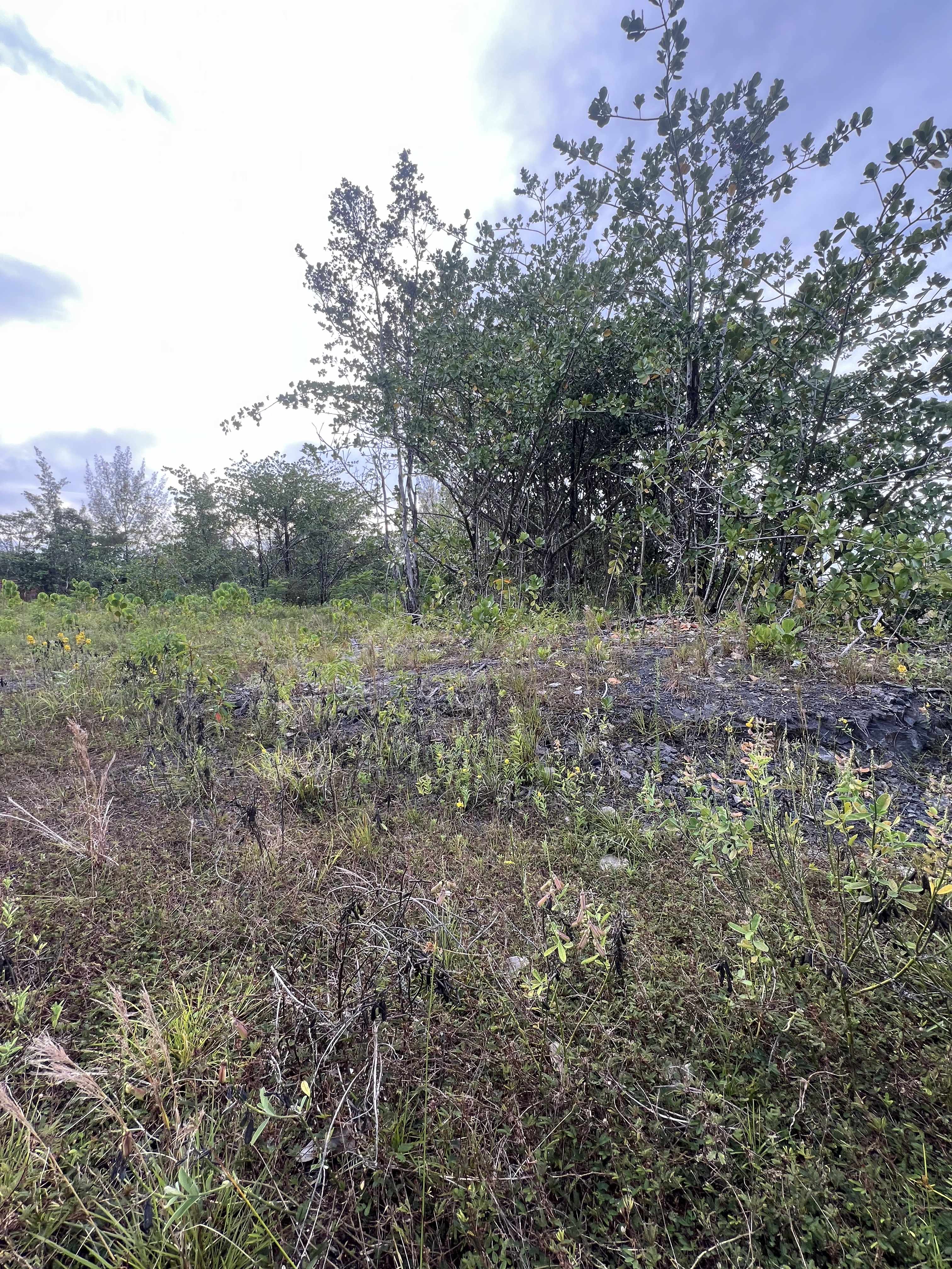 Keaau, HI 96749,15-1702 1ST AVE