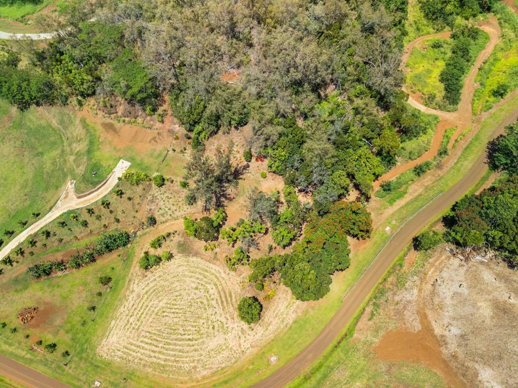 Kapaa, HI 96746,KANA ST #10D