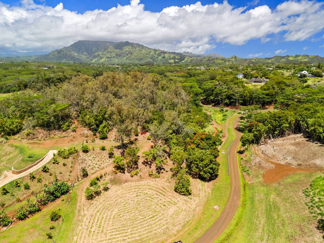 Kapaa, HI 96746,KANA ST #10D