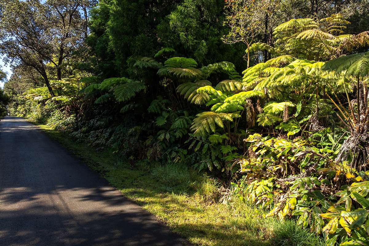 Volcano, HI 96785,HAUNANI RD