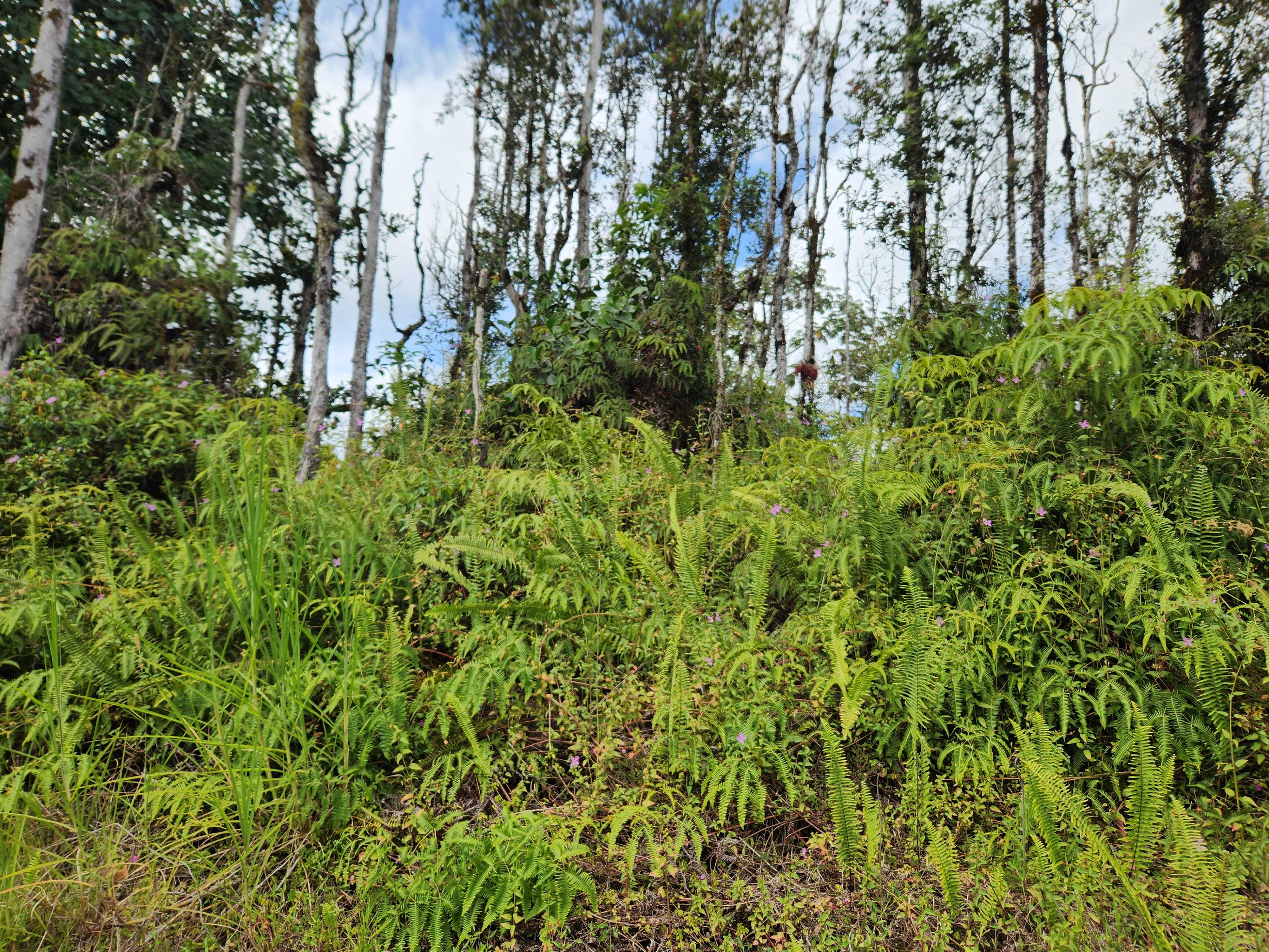 Pahoa, HI 96778,NANAWALE BLVD