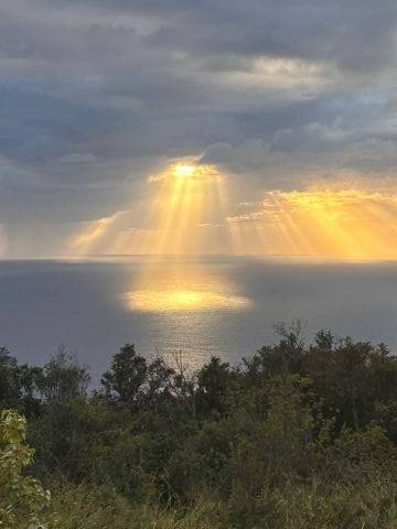 Captain Cook, HI 96704,89-902 RD RD