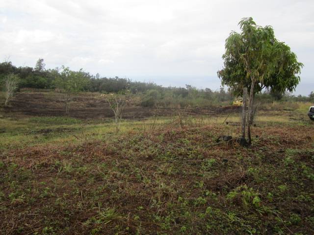 Captain Cook, HI 96704,89-902 RD RD