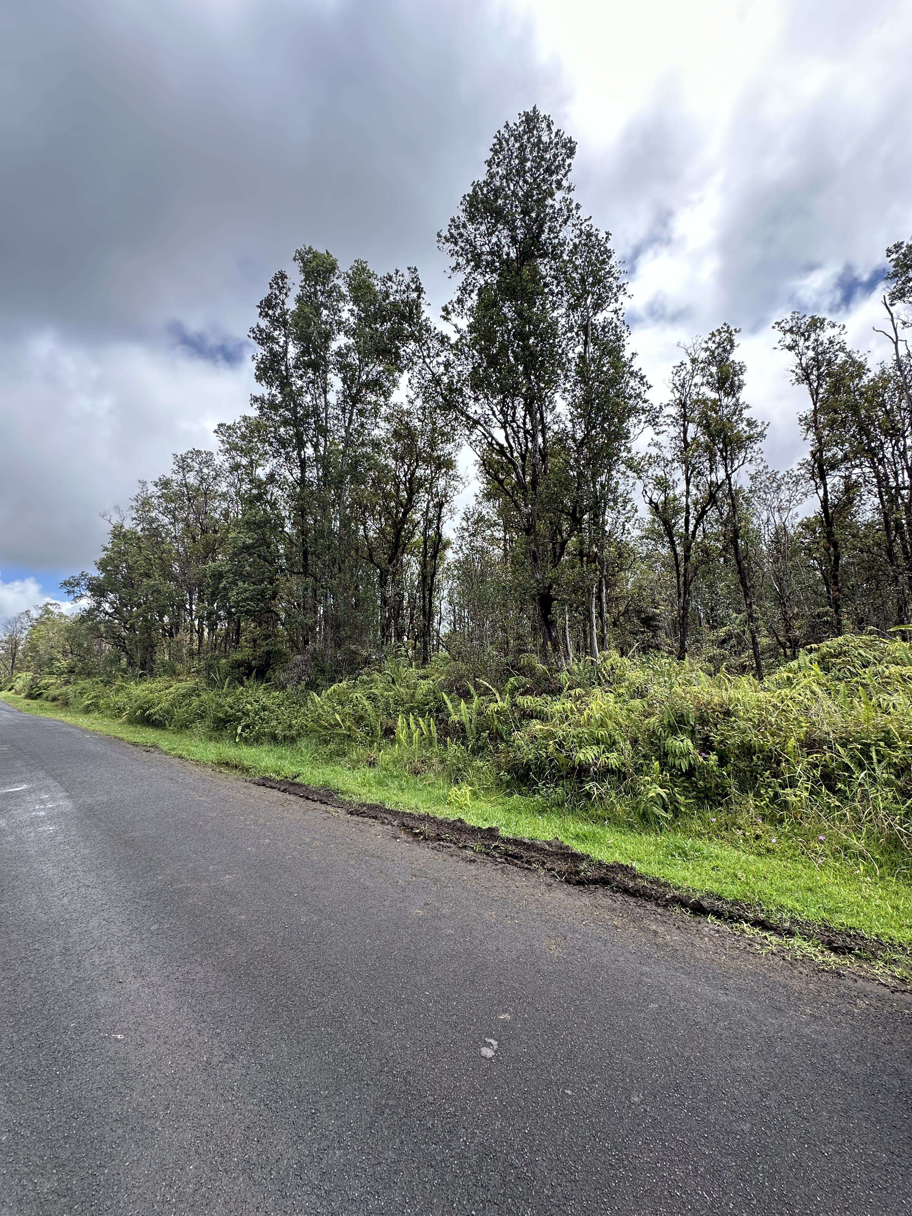 Mountain View, HI 96771,HIBISCUS ST #Lot 7448