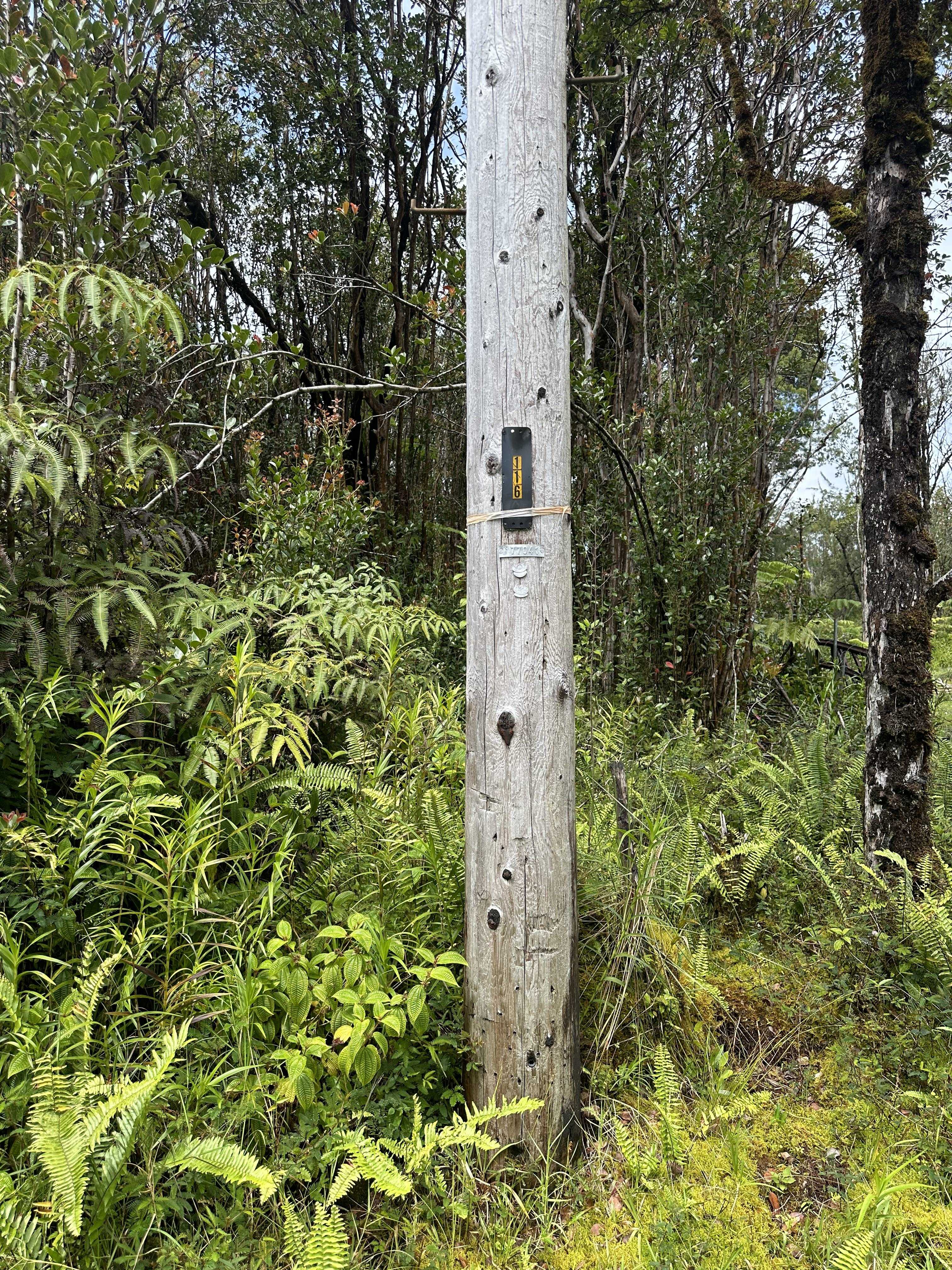 Mountain View, HI 96771,HIBISCUS ST #Lot 7448