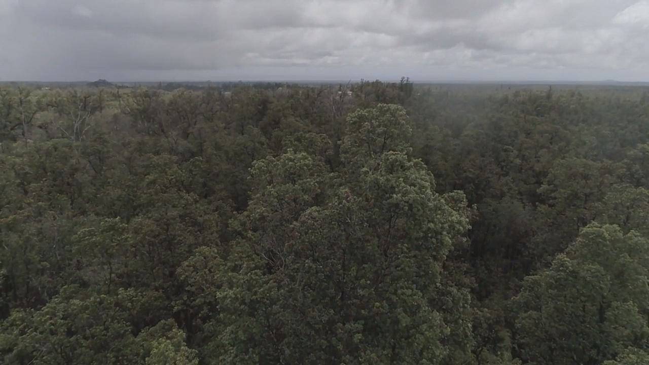 Mountain View, HI 96771,HIBISCUS ST #Lot 7448