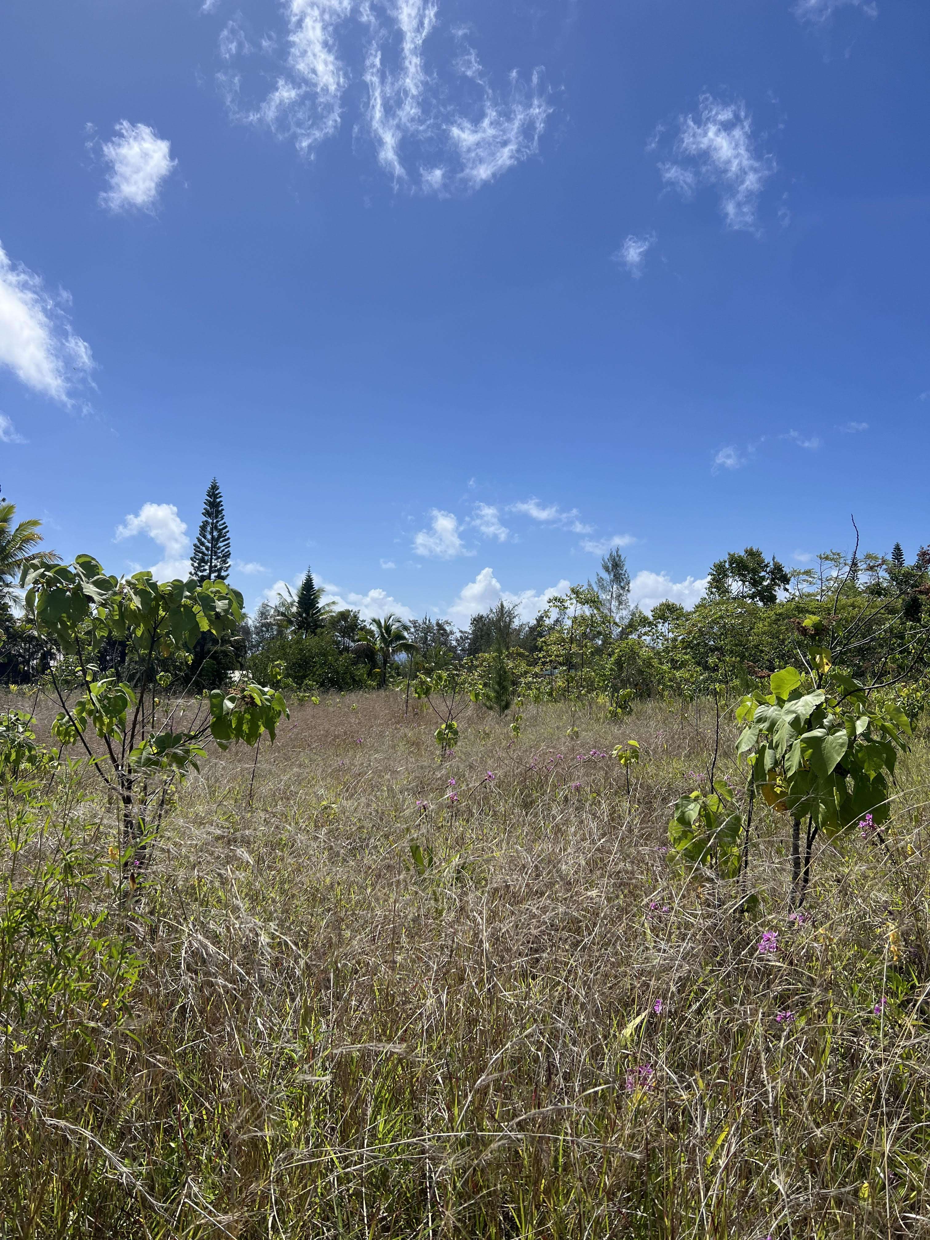 Pahoa, HI 96778,OLIANA DR