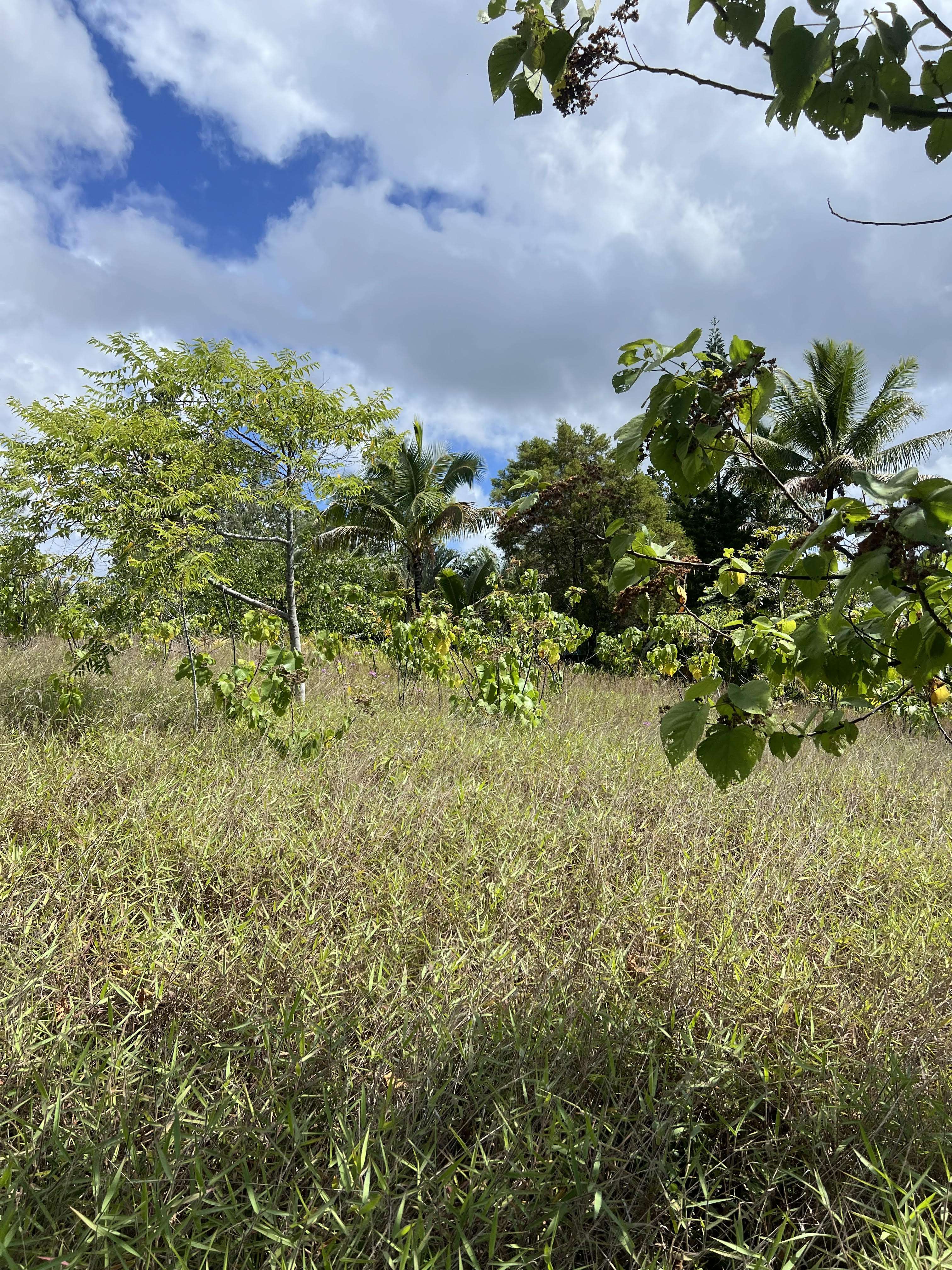 Pahoa, HI 96778,OLIANA DR