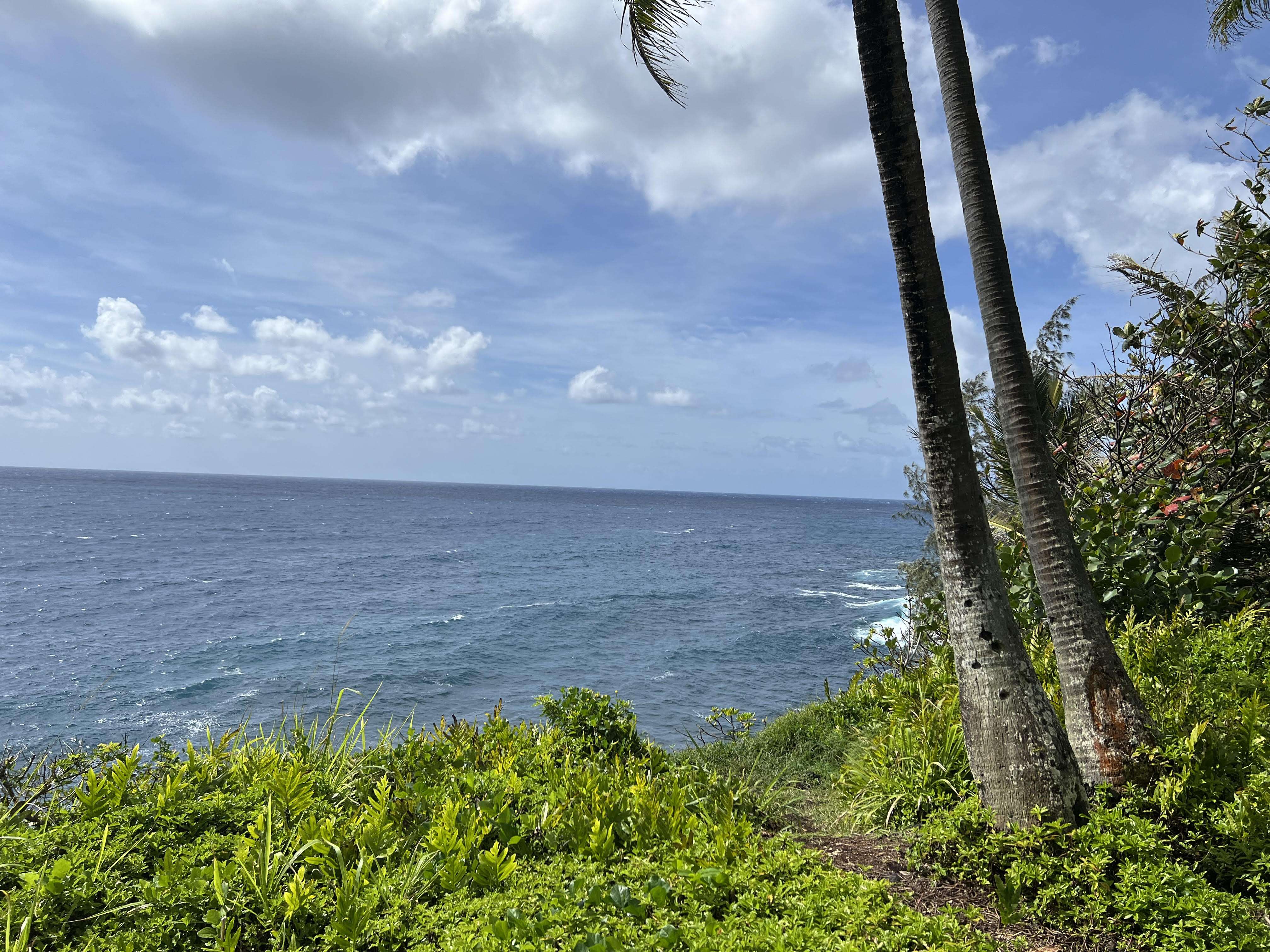 Pahoa, HI 96778,OLIANA DR