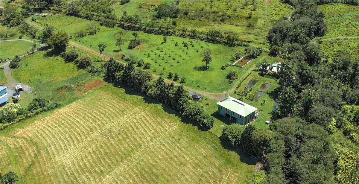 Hakalau, HI 96710,29-2612 KAIWIKI HOMESTEAD RD