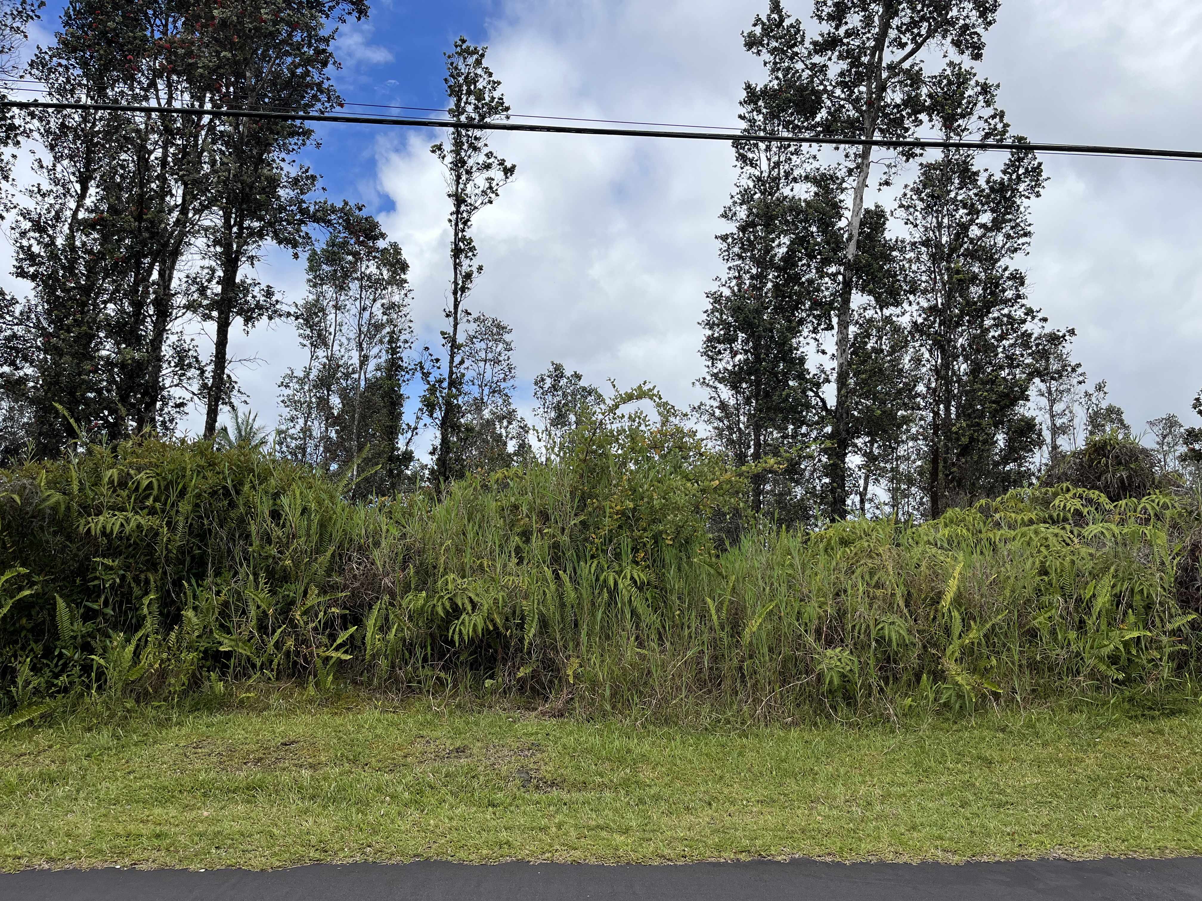 Mountain View, HI 96771,LEHUA ST