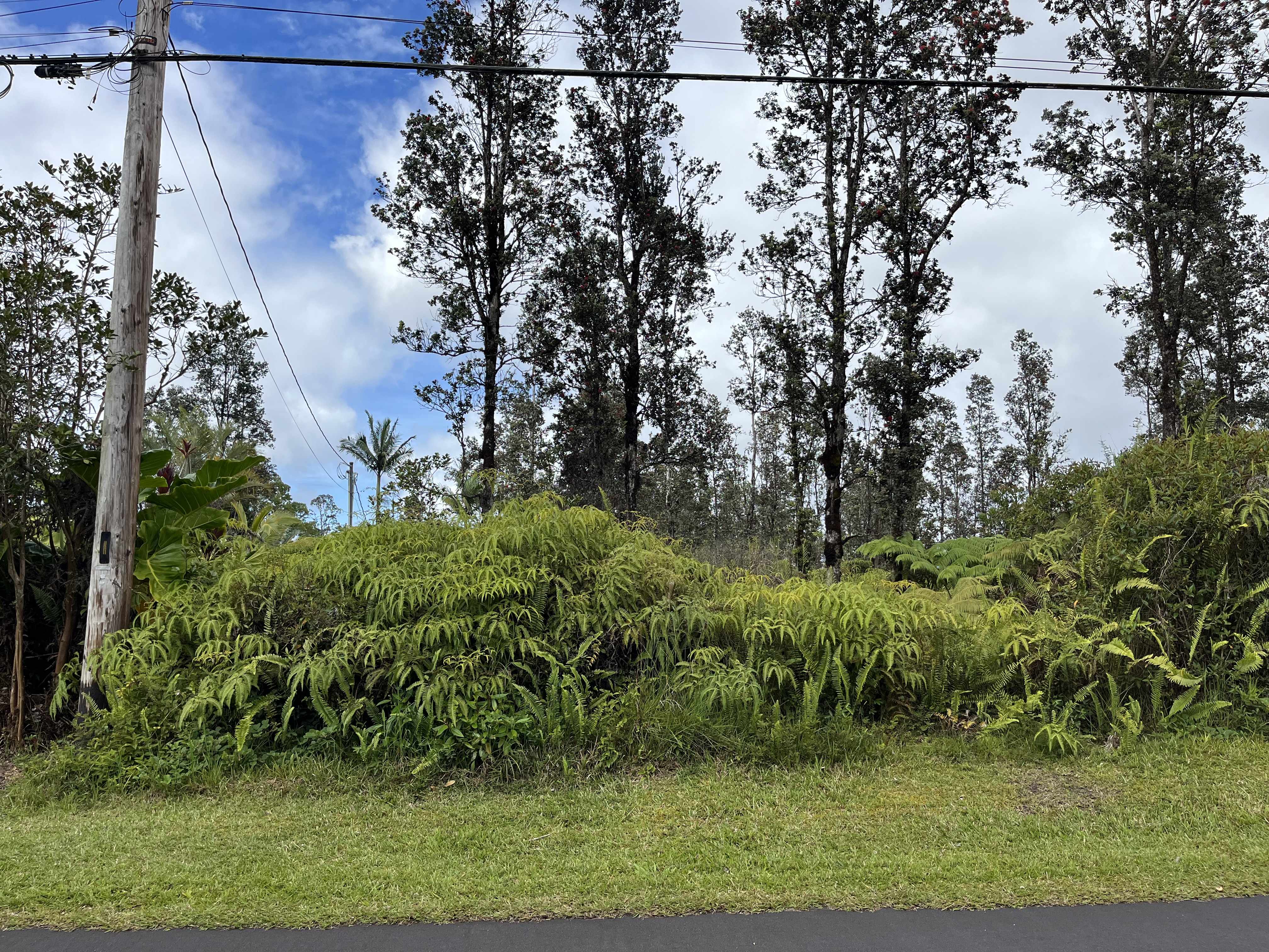 Mountain View, HI 96771,LEHUA ST