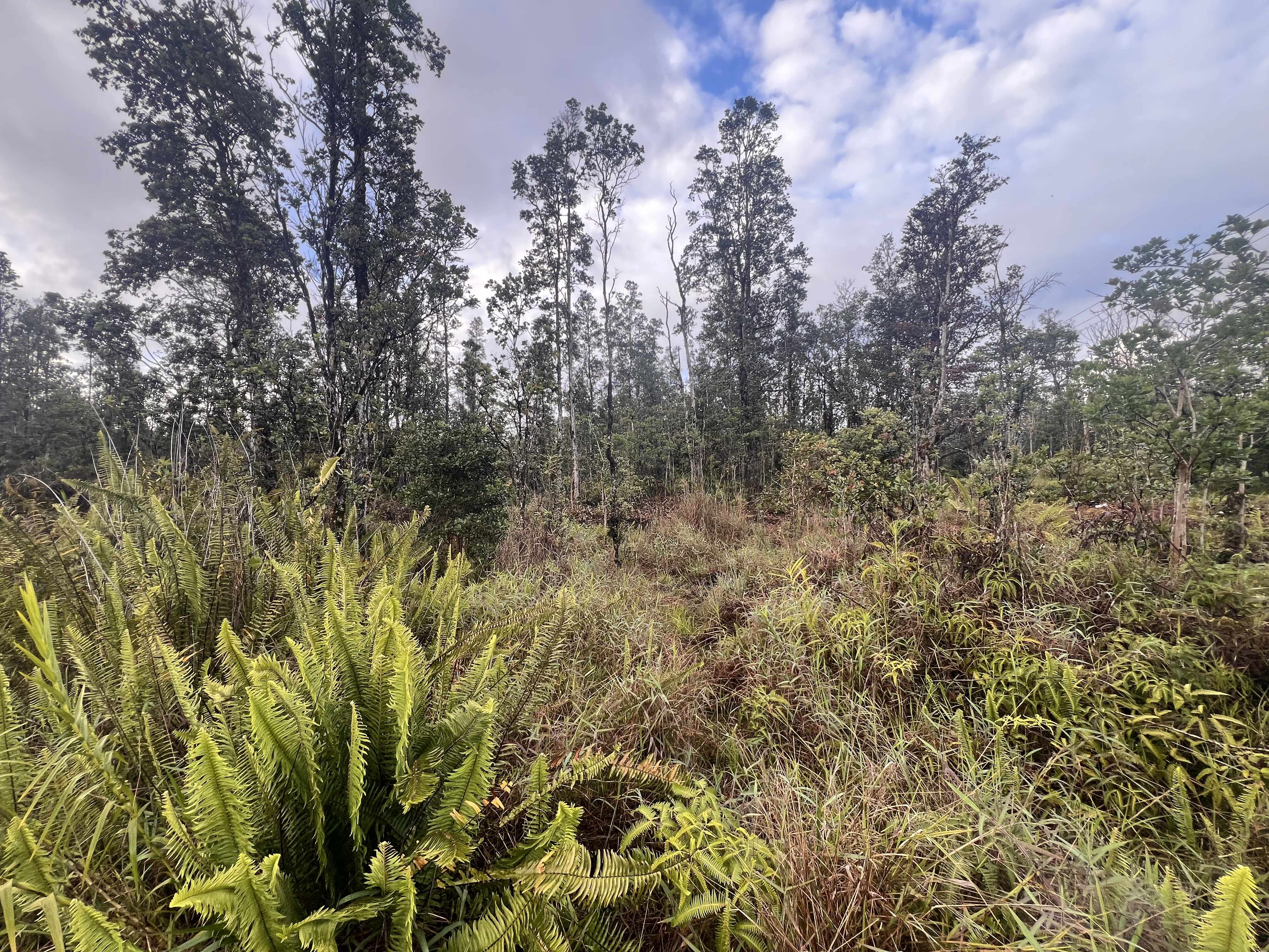 Pahoa, HI 96778,WEHELAUNIU ST