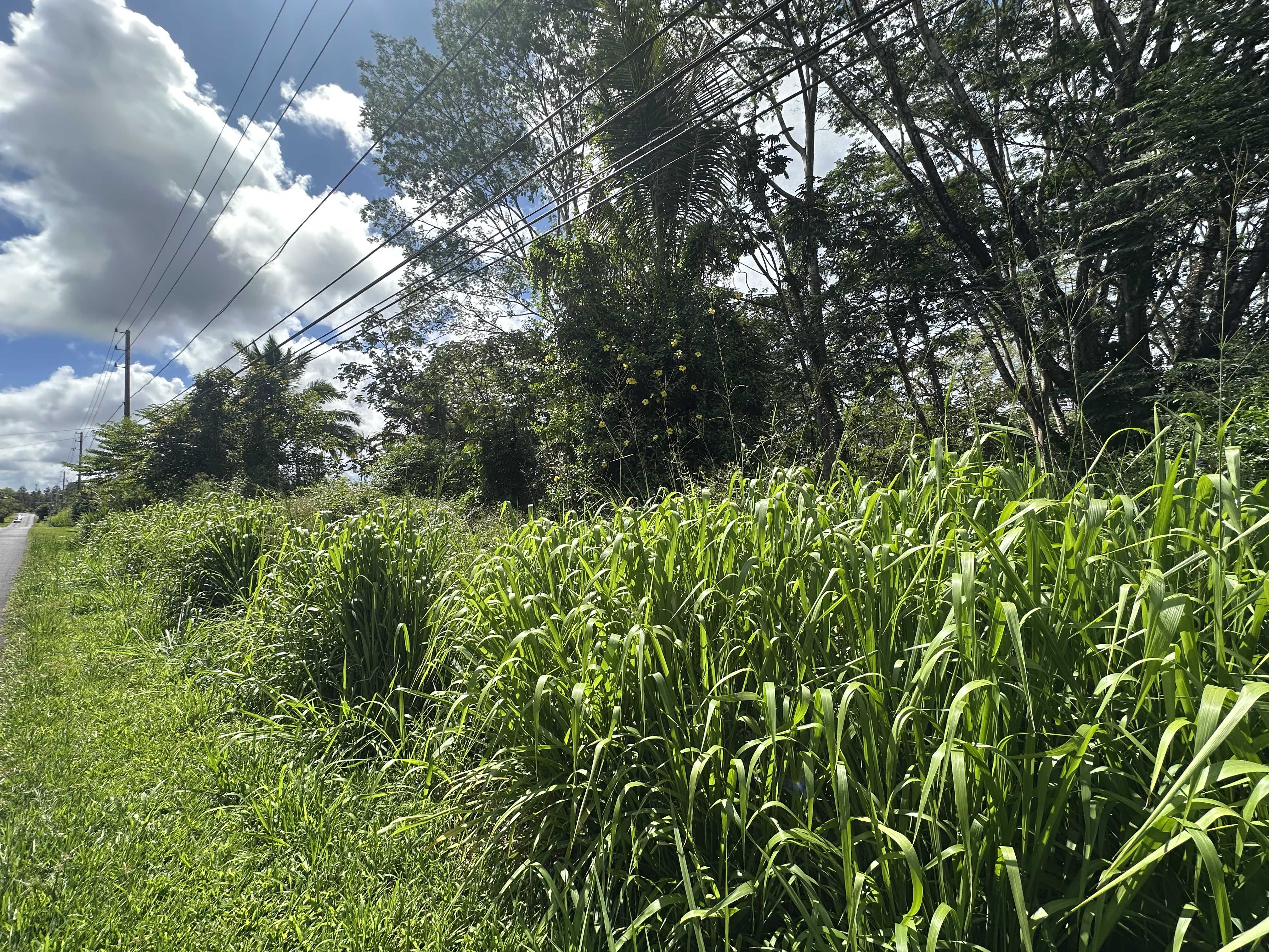 Pahoa, HI 96778,LEILANI BLVD