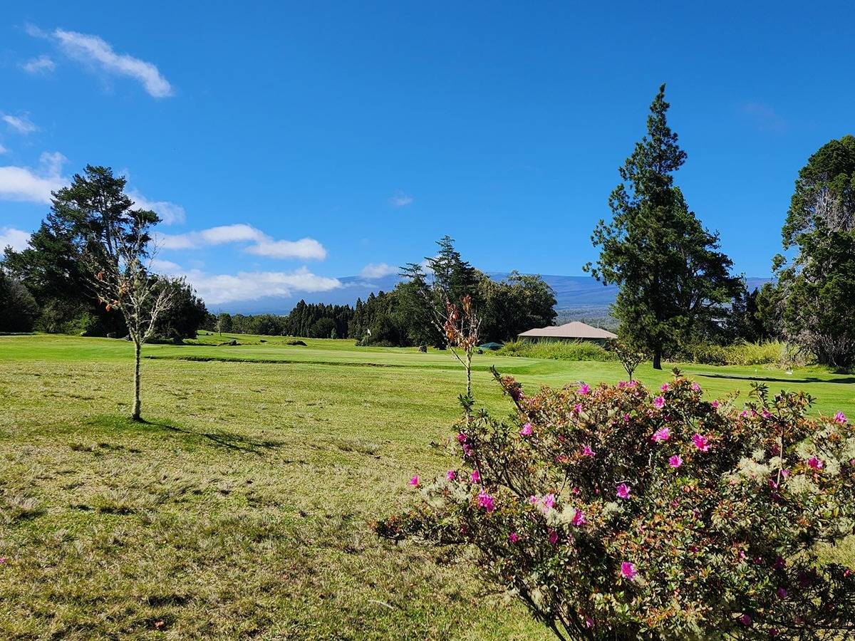 Volcano, HI 96785,10 PAINIU LP