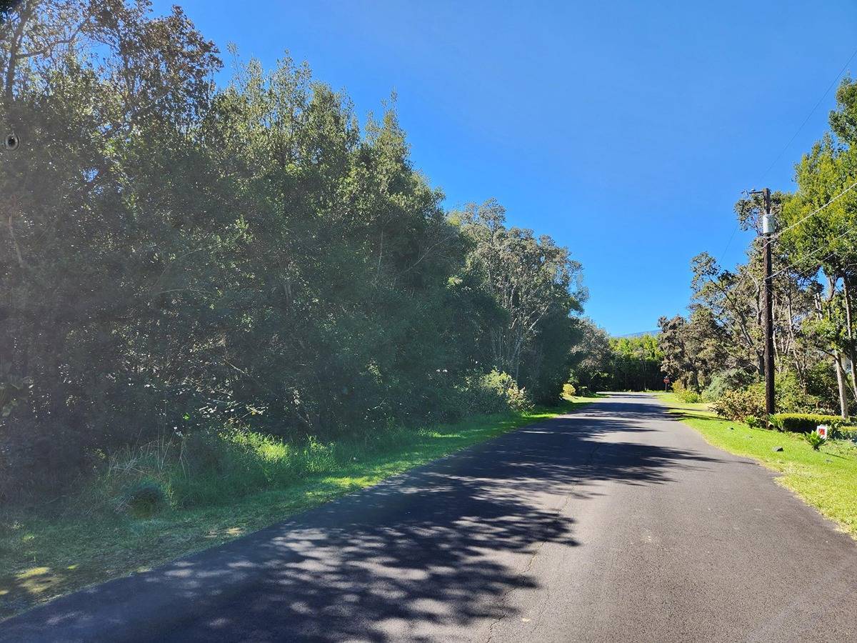 Volcano, HI 96785,10 PAINIU LP