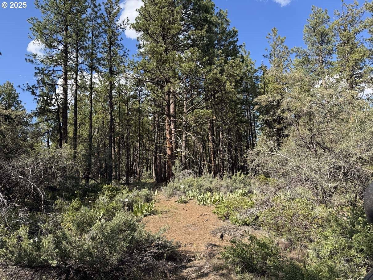 Bonanza, OR 97623,Thunder Bear Road #46