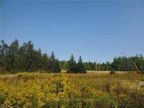 Southgate, ON N0C 1B0,270 YOUNG ST