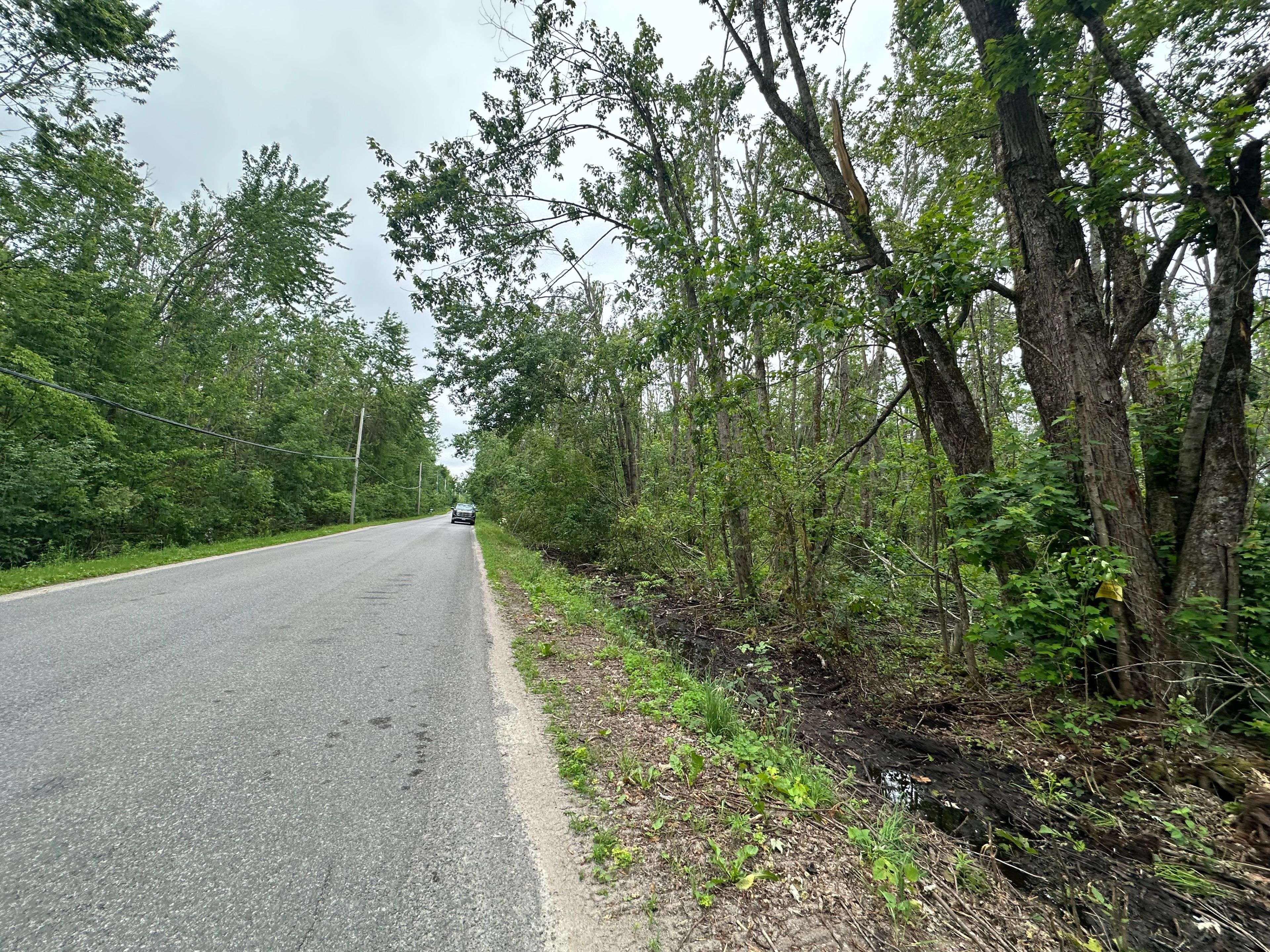 Trent Lakes, ON K0M 1A0,20 LOT Tate's Bay RD