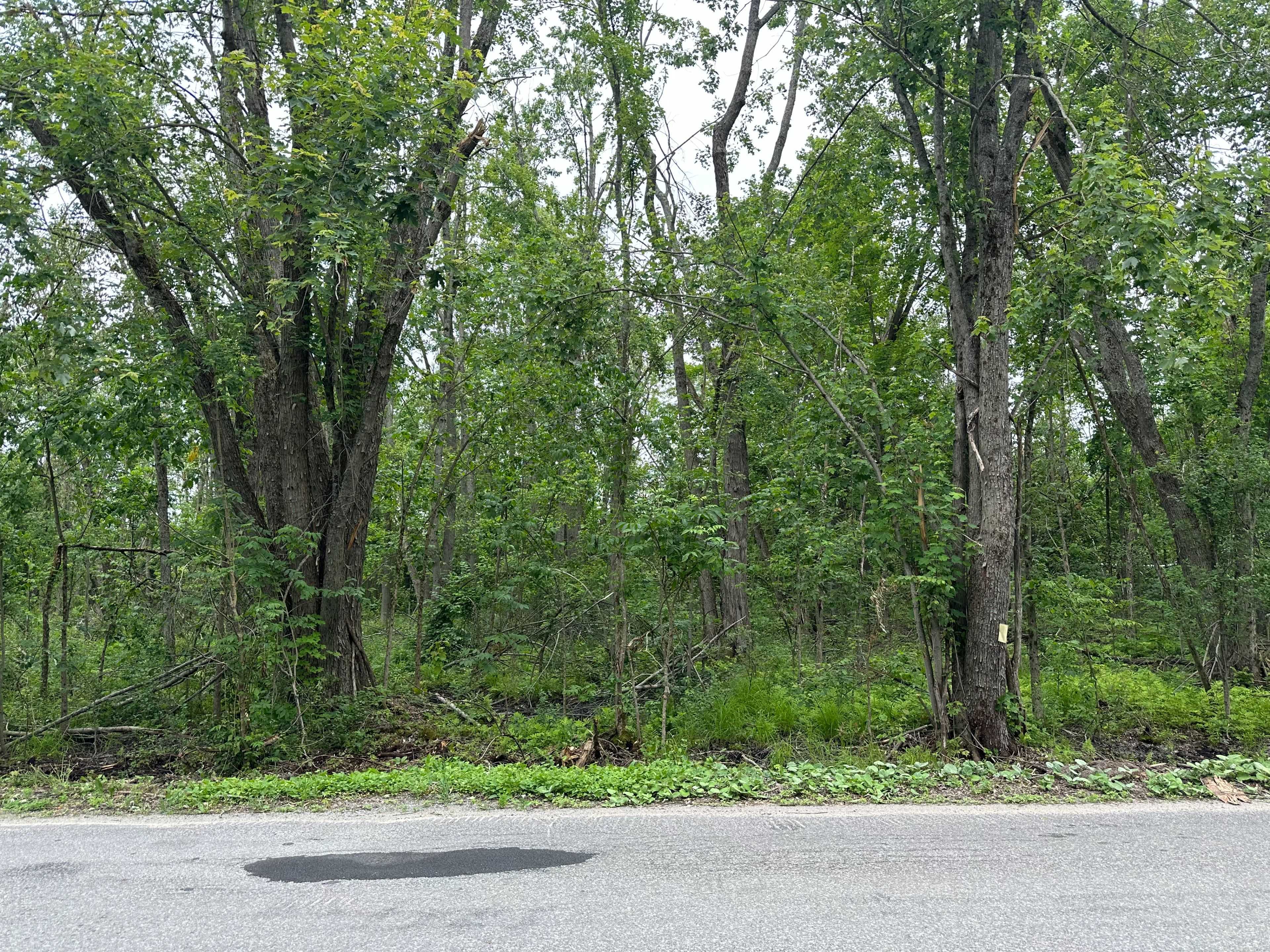 Trent Lakes, ON K0M 1A0,20 LOT Tate's Bay RD