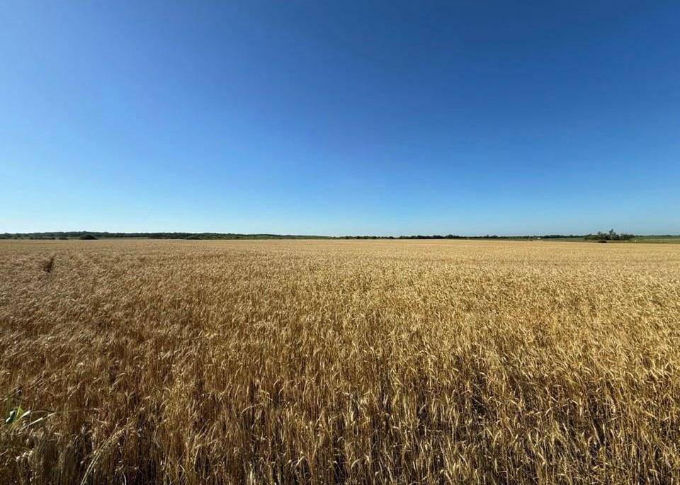 Blum, TX 76627,TBD HCR 1153