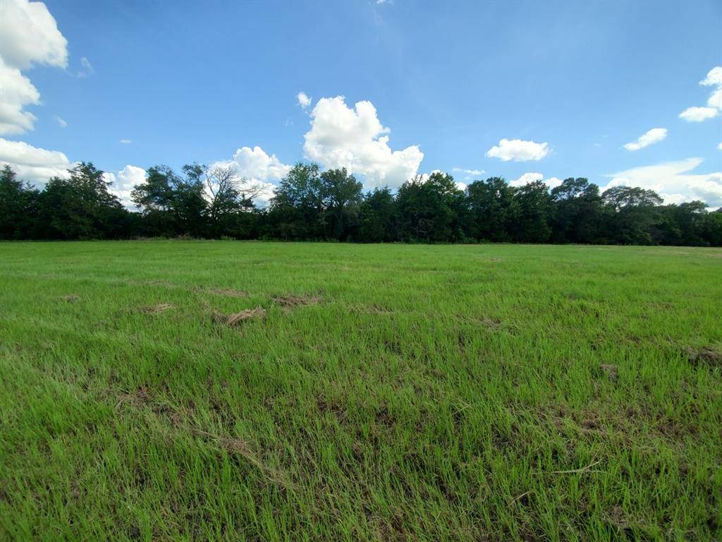 Emory, TX 75440,Lot 1 Rains CR1140 Road