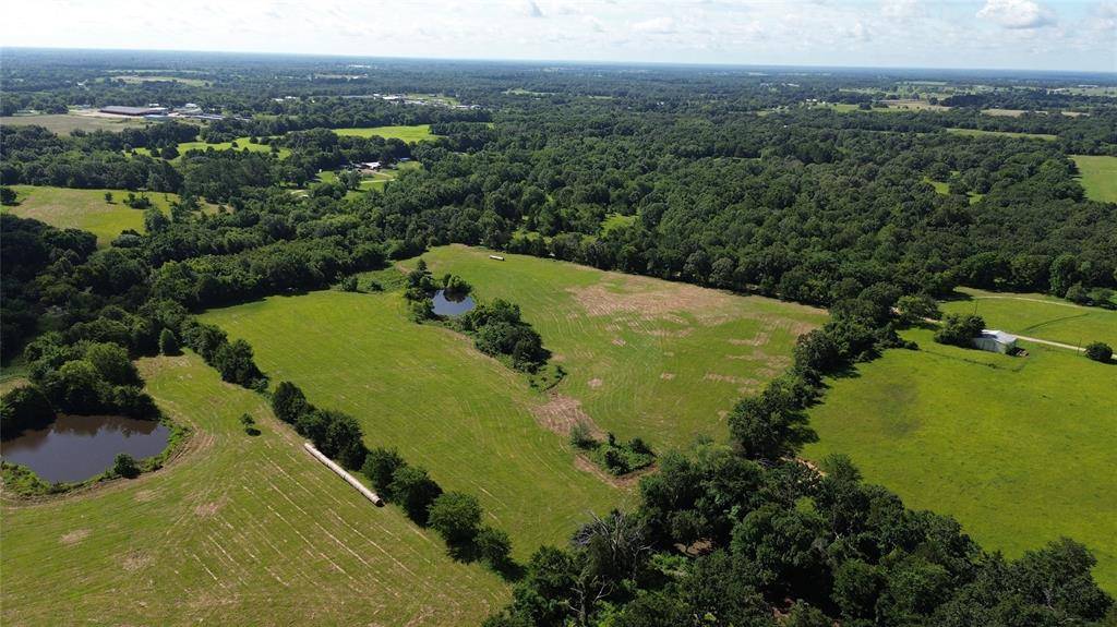 Emory, TX 75440,Lot 4 Rains CR1140 Road