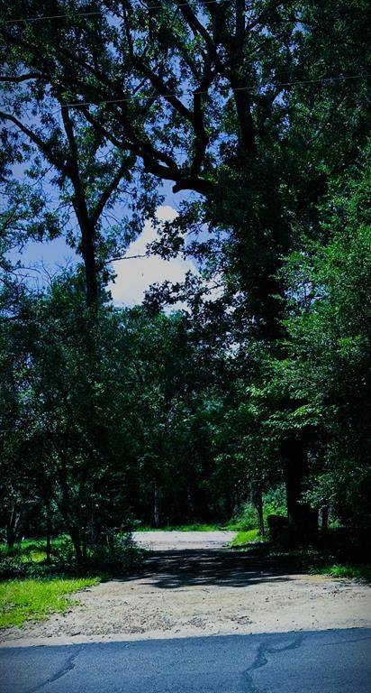 Holly Lake Ranch, TX 75765,263 W Holly Trail