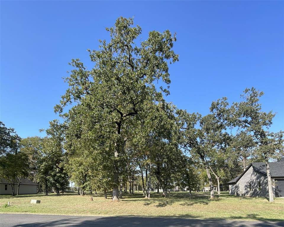 Mabank, TX 75156,245 Saint Andrews Drive