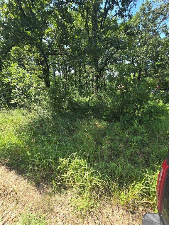 Payne Springs, TX 75156,0 Nina Street