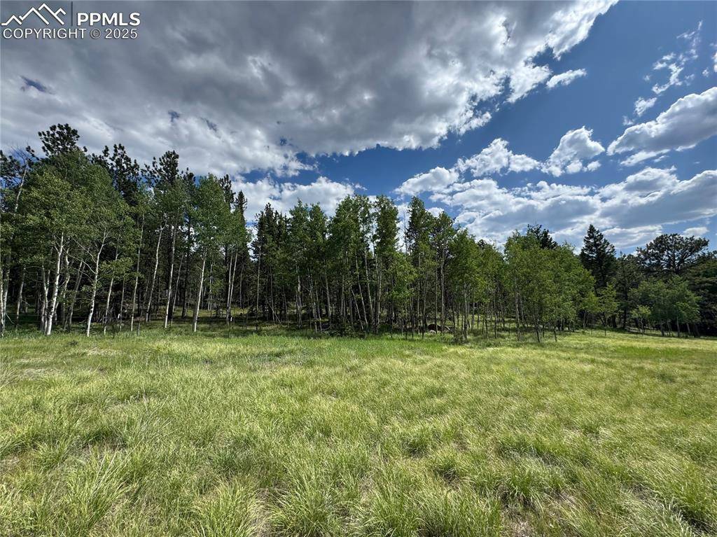 Lake George, CO 80827,117 Vagabond Creek TER