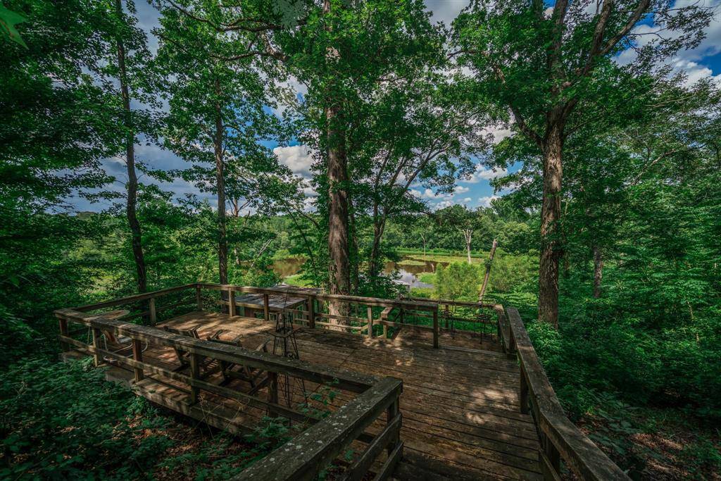 Winona, TX 75792,13952 CR 371