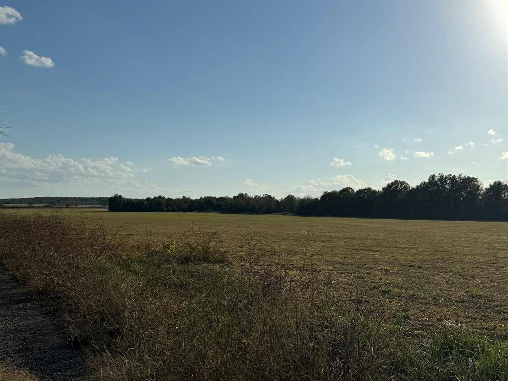 Sulphur Springs, TX 75482,TBD Front 1471 I-30 Svc Rd NE