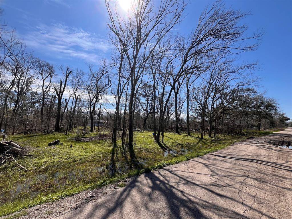 Holiday Lakes, TX 77515,TBD Penguin Lane