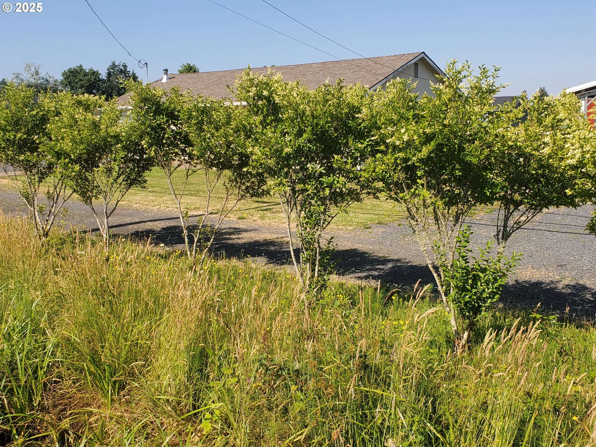 Sweet Home, OR 97386,1244 49TH AVE