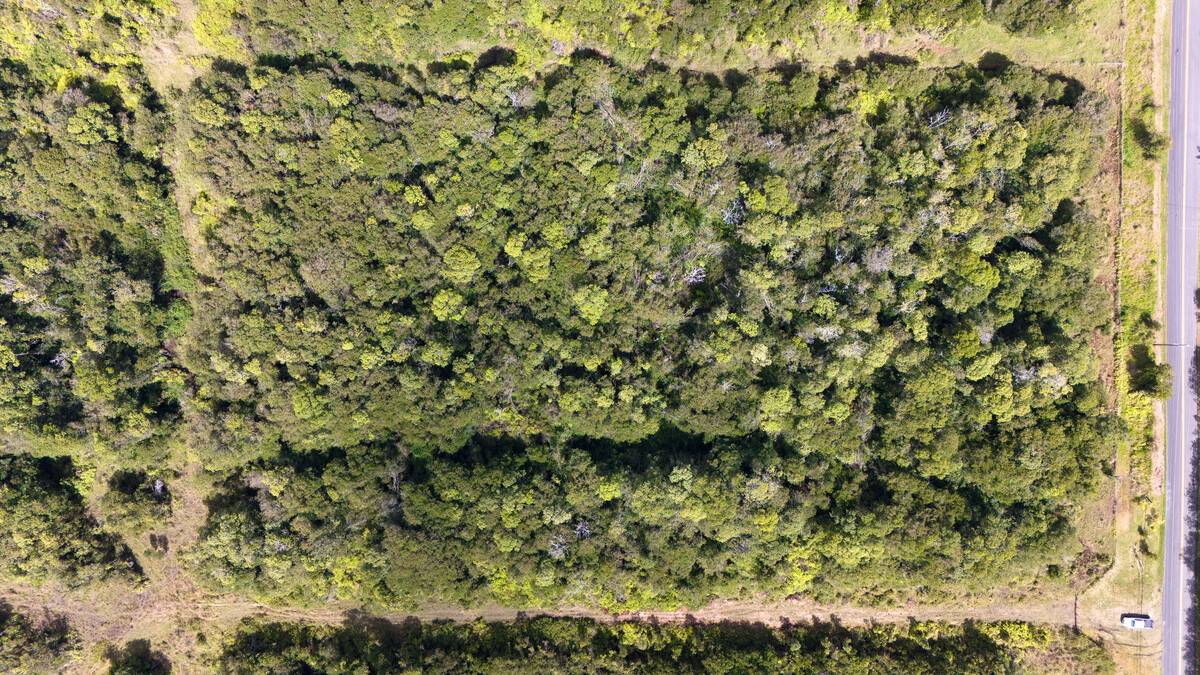 Volcano, HI 96785,GLENWOOD RD