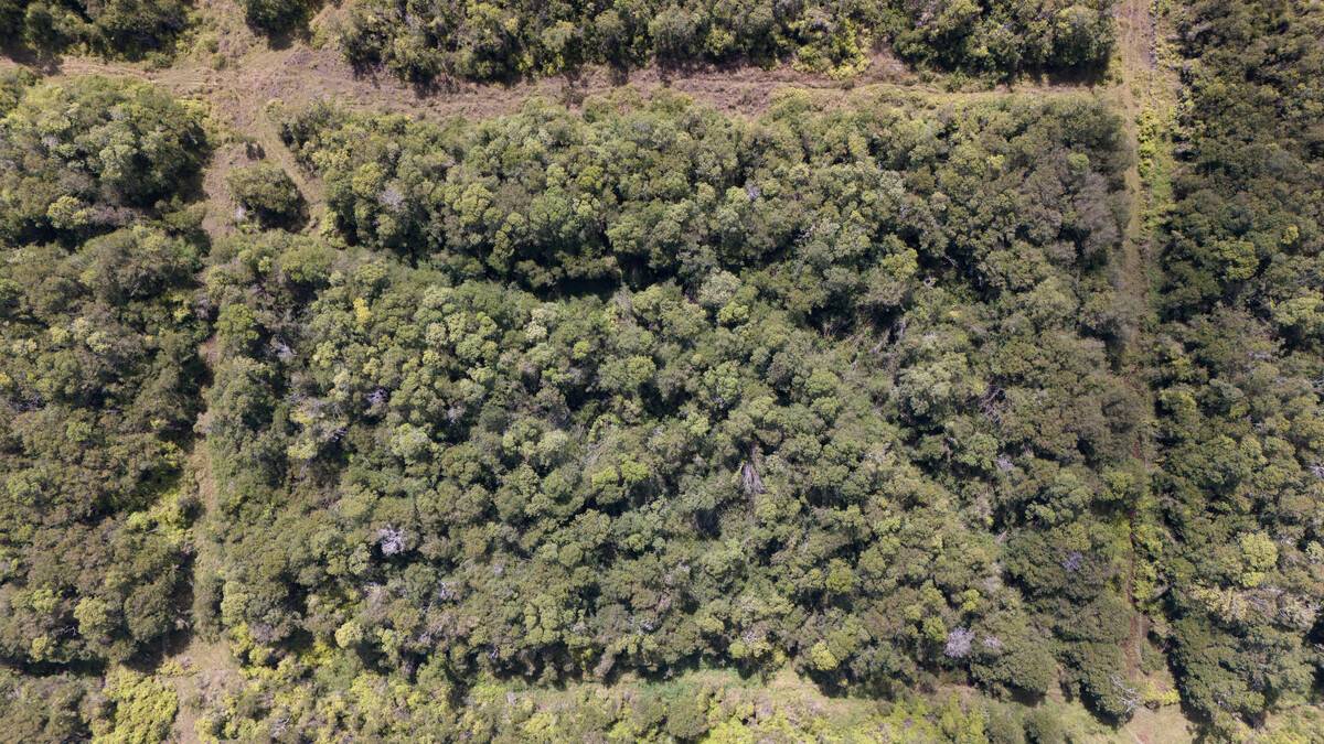 Volcano, HI 96785,GLENWOOD RD