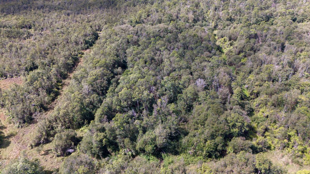 Volcano, HI 96785,GLENWOOD RD