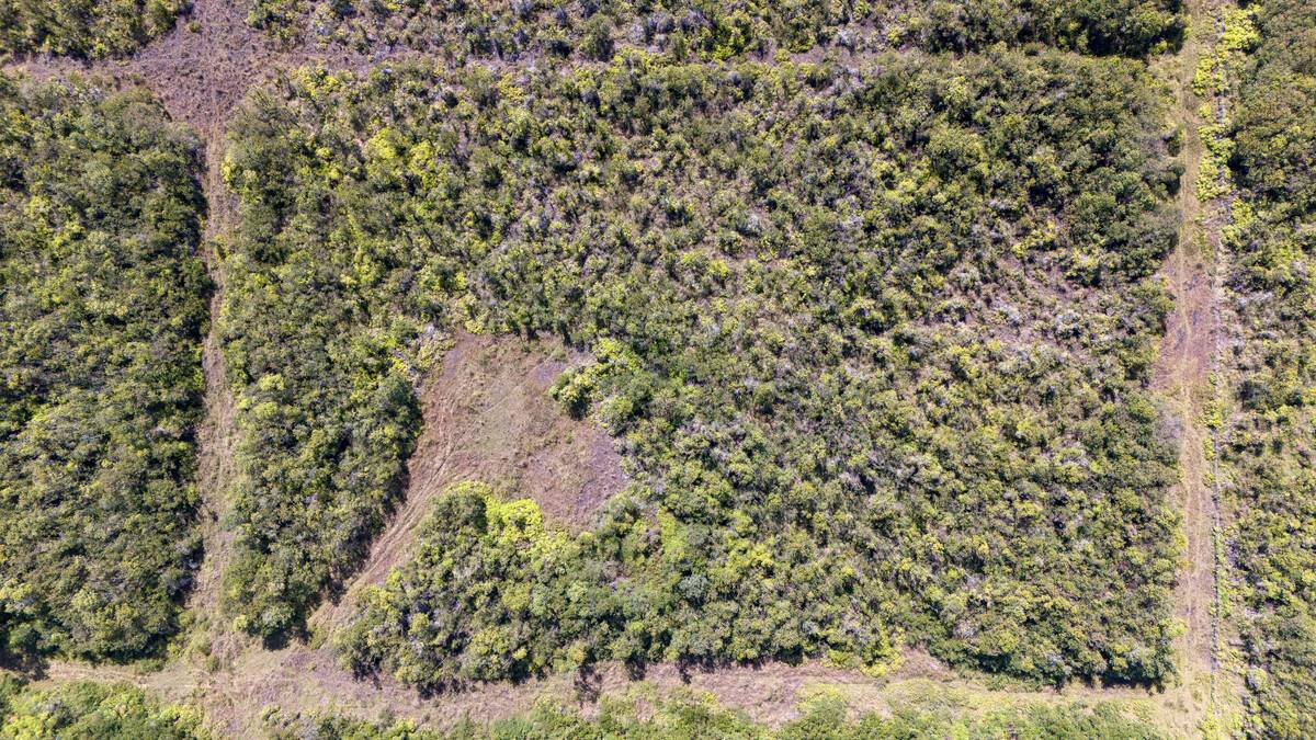 Volcano, HI 96785,GLENWOOD RD